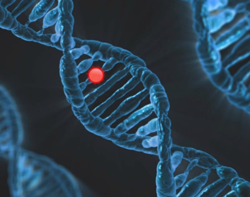 DNA double helix